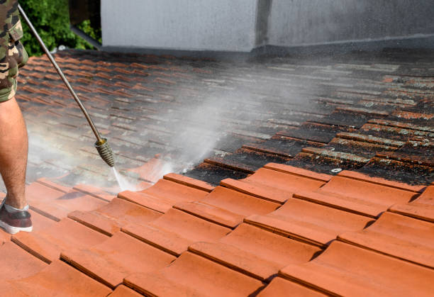 Best Affordable Pressure Washing  in Whitmore Lake, MI
