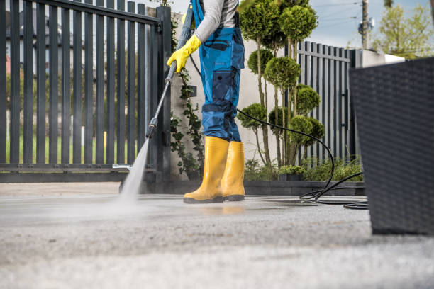 Best Roof Pressure Washing  in Whitmore Lake, MI