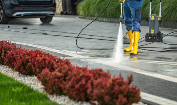 Best Roof Pressure Washing  in Whitmore Lake, MI