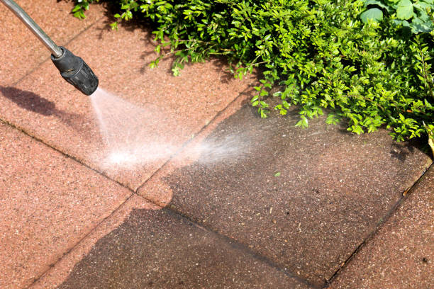Best Affordable Power Washing  in Whitmore Lake, MI