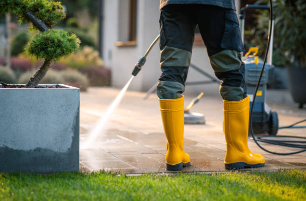 Best Power Washing Near Me  in Whitmore Lake, MI